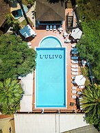 L'Ulivo