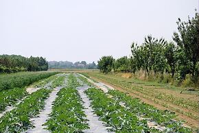 Agriturismo Il Melograno