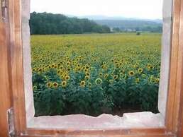 Casale il Colombaio di Toiano