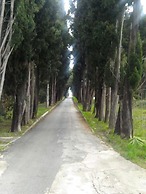 Villa Cezar