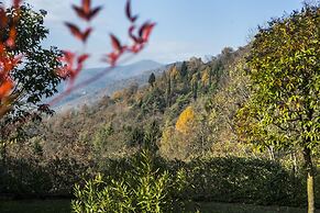 Borgo alla Sorgente