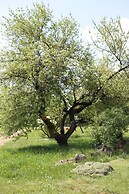 Le Grézalide