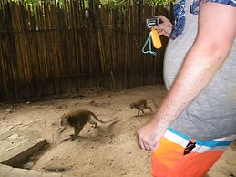 Diamond Cave Resort