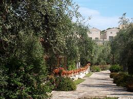 Poggio degli Ulivi