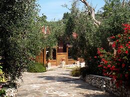 Poggio degli Ulivi