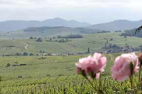 Le Clos Saint Vincent