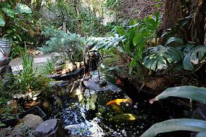 Jambo Guest House
