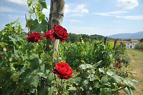 Agriturismo Corte Benedetto