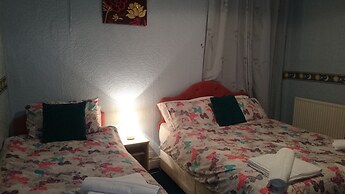 Tulip Hotel