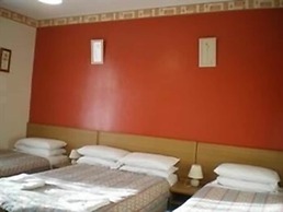 Tulip Hotel