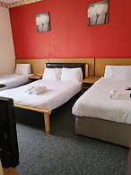 Tulip Hotel