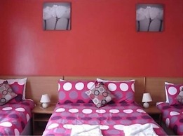 Tulip Hotel