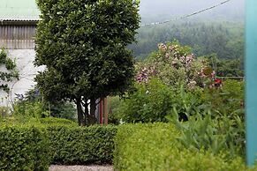 Ballyknocken House and Cookery School