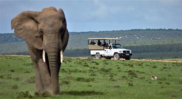 Hitgeheim Country Lodge & Eco Reserve