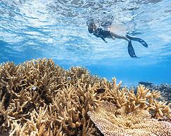 Park Hyatt Maldives Hadahaa