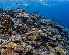 Park Hyatt Maldives Hadahaa