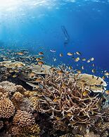 Park Hyatt Maldives Hadahaa