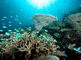 Park Hyatt Maldives Hadahaa