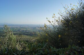 Colle Da Vinci