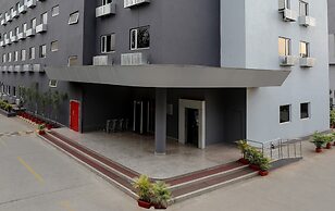 Ginger Nashik