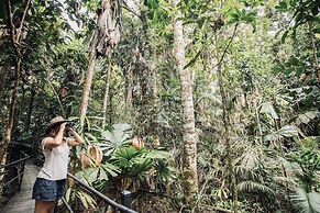 Daintree Wilderness Lodge
