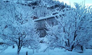 Honeymoon Inn