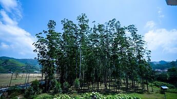 Hill View Munnar