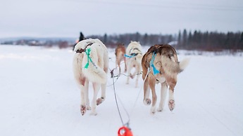 Hotelli Ivalo