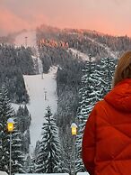 Hotel Piatra Mare