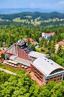 Hotel Piatra Mare