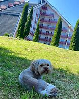 Hotel Piatra Mare
