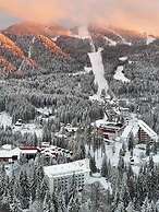 Hotel Piatra Mare