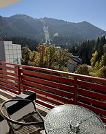 Hotel Piatra Mare