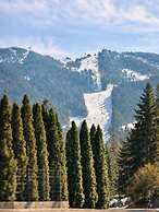 Hotel Piatra Mare