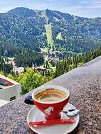 Hotel Piatra Mare