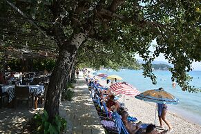 Dassia Beach