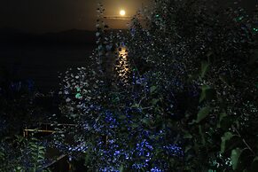 Dassia Beach
