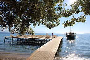 Dassia Beach