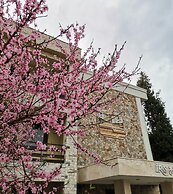 Iris Hotel & Spa