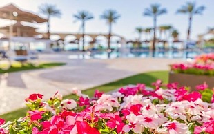 Brown Dead Sea by Brown Hotels