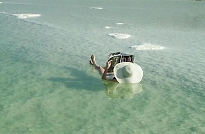 Brown Dead Sea by Brown Hotels