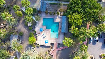 Hotel Oasis