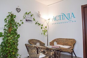 Actinia Accomodation