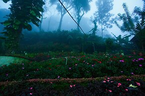 Misty Mountain Resort