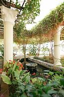 The Peacock Garden