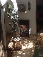 Riad Mariana