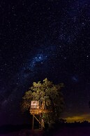 Umlani Bushcamp - Lodge