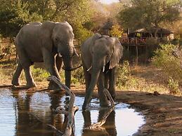 Umlani Bushcamp - Lodge