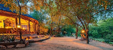 Umlani Bushcamp - Lodge