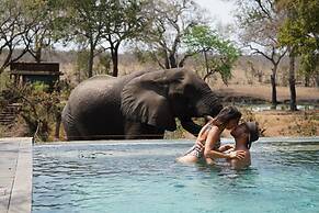 Honeyguide Tented Safari Camps - Mantobeni